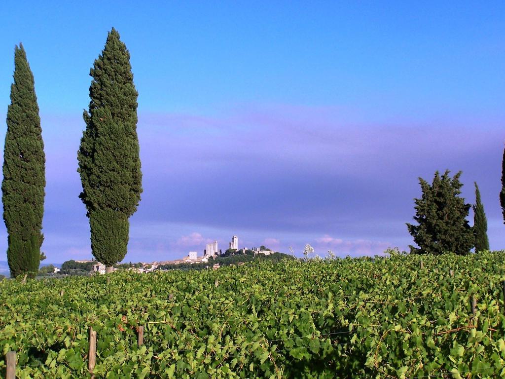 Poggetto Di Montese Leilighet San Gimignano Rom bilde